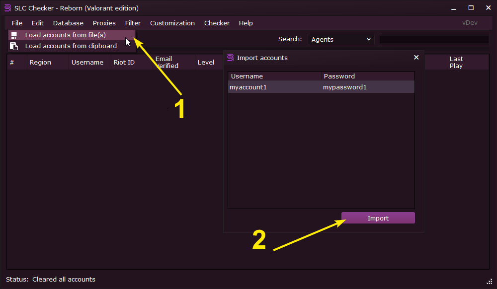 Accounts import panel